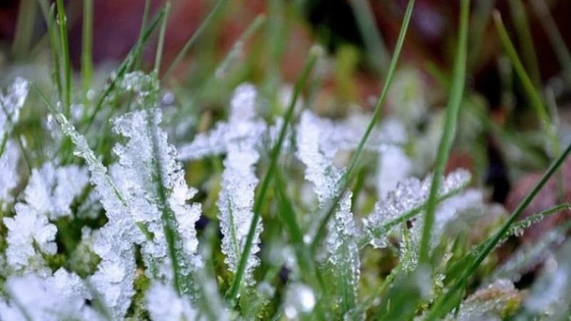 درجات حرارة متدنية حول 5 درجات مئوية وربما أقل في حفر الباطن والأجزاء الداخلية من المنطقة الشرقية والربع الخالي