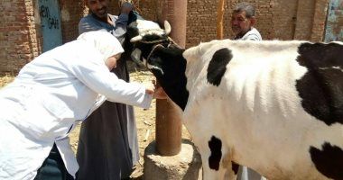 تحصين 1600 حيوان وطائر ضد الأمراض والطفيليات خلال قوافل بيطرية بقرى الجيزة