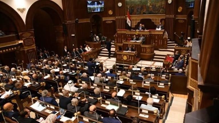 مجلس الشيوخ يرفض رفع الحصانة عن نائب في دعوى التعدي على الأرض الزراعية
