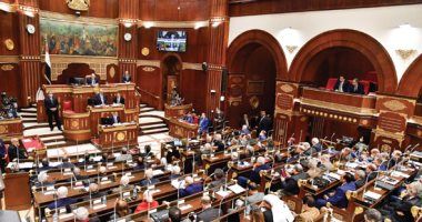 "الشيوخ" يرفض طلب رفع الحصانة عن النائب هشام الحاج على