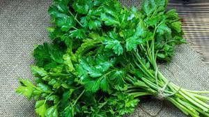 يحارب الشيخوخة والسرطان.. شاهد: استشاري تغذية يكشف عن فوائد صحية مذهلة للبقدونس