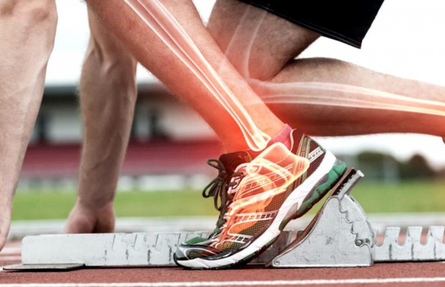 هبة من الله.. هذه الفاكهة لها مفعول السحر في تقوية العظام لمن تجاوزت أعمارهم 40 عاما