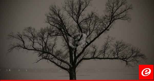 موجة برد تضرب وسط أوروبا وشرقها متسببةً بانقطاع التيار الكهربائي في بولندا