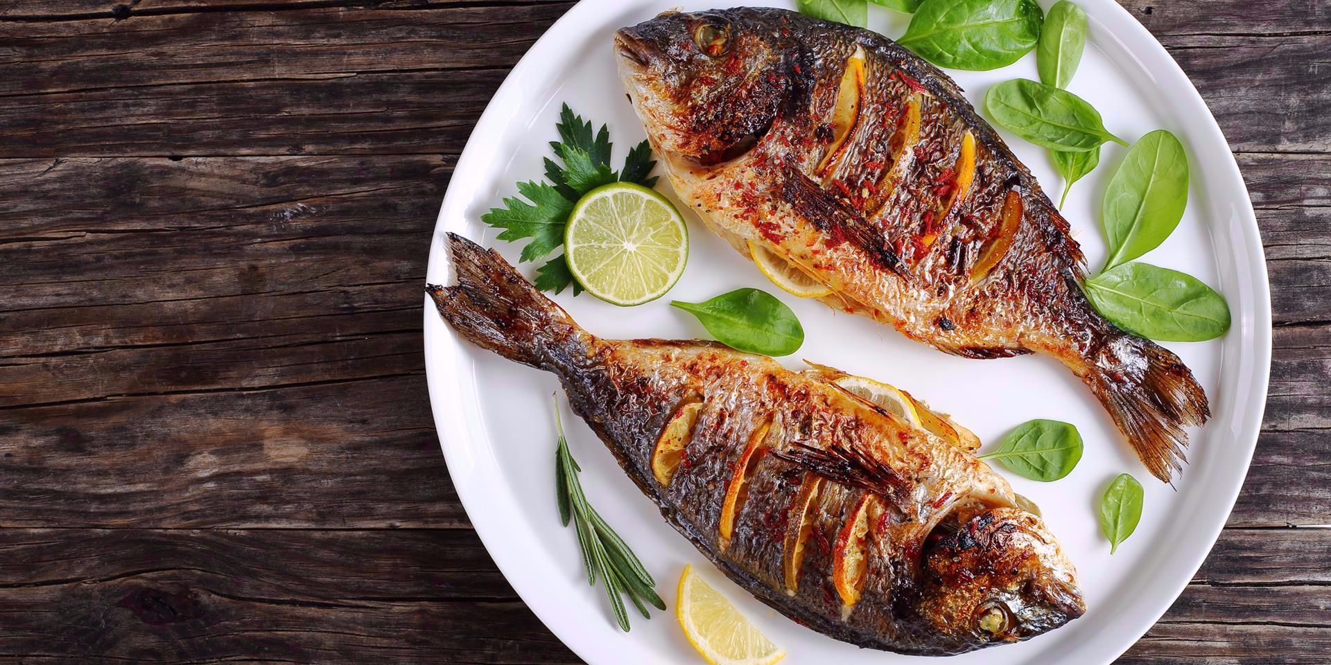 يحتوي على مادة سامة.. "علماء" يحذرون من تناول هذا النوع من السمك