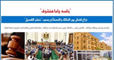 "أما قصة بصحيح".. نزاع قضائى بين المالك والمستأجر بسبب وضع "منشر".. برلمانى