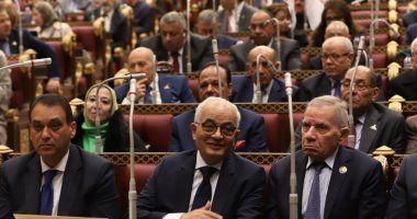 وكيل مجلس الشيوخ: الدستور ألزم الدولة بتطوير التعليم لمواكبة التطورات العالمية