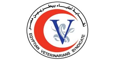 لجنة انتخابات "البيطريين": جهات قضائية للإشراف على إجراءات التجديد النصفى