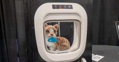 تكنولوجيا: Flappie AI باب ذكى بالذكاء الاصطناعى يمنع قطتك من إدخال الفئران الميتة للمنزل