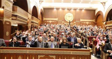 نائب بجلسة "الشيوخ": عملية القلب المفتوح تتكلف 220 ألف جنيه وتتحملها الدولة بالكامل