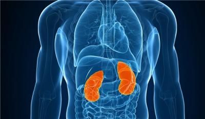 تعرف على أشهر 10 أعراض شائعة تدل على أن كليتيك في خطر!