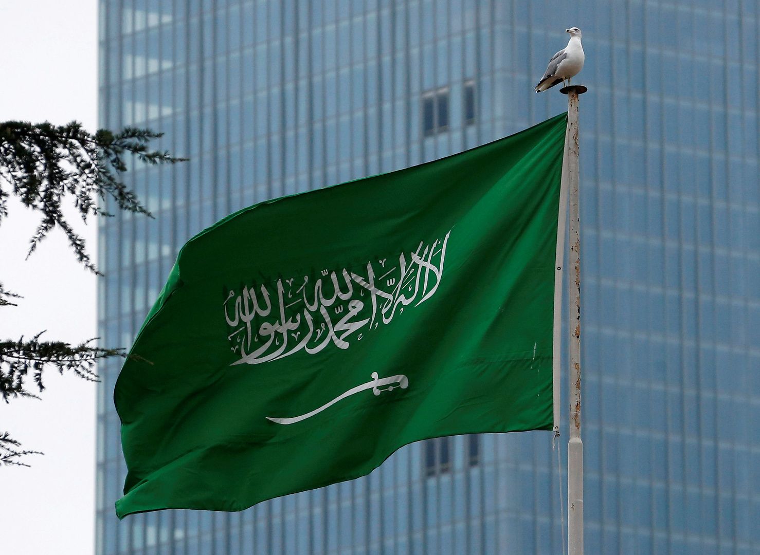 السعودية | مركز الإقامة المميزة يطلق 5 منتجات لاستقطاب الكفاءات والمواهب والمستثمرين وروّاد الأعمال