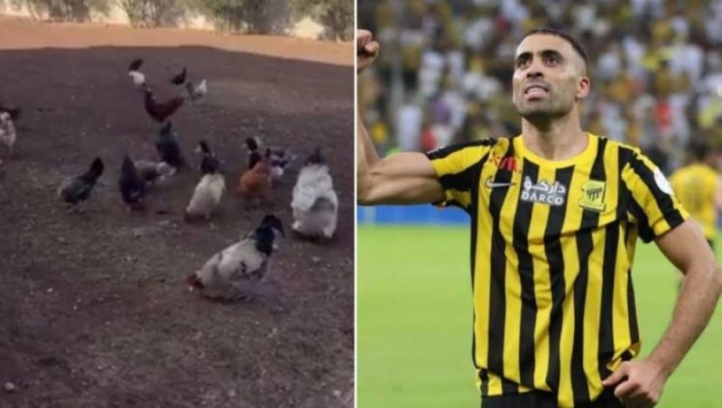 تراند اليوم : شاهد.. لاعب الاتحاد عبدالرزاق حمدالله يقضي وقته داخل مزرعته الخاصة بالمغرب