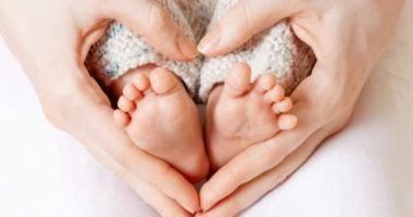 دليل الاختبارات اللازمة قبل عملية التلقيح الصناعى