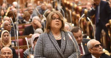 وكيل الشيوخ: الدولة تبذل جهودا لتوفير رعاية صحية لائقة بالمواطن