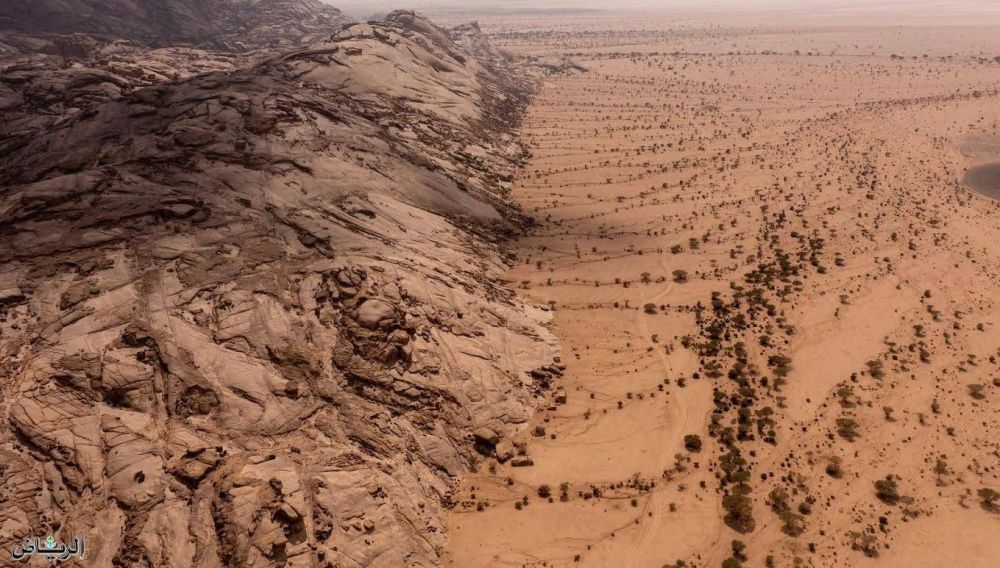 600 % ارتفاع بالغطاء النباتي