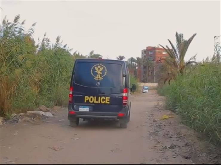 بـ"كوكتيل مخدرات".. ضبط 7 عناصر إجرامية بحملات أمنية في 3 محافظات