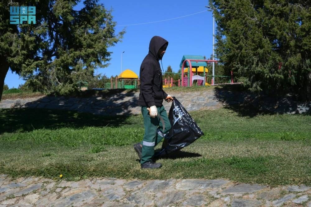 معالجة 6 عناصر للتشوه البصري