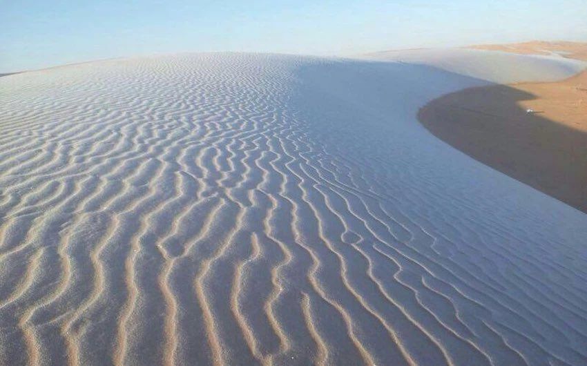 الحصيني: الشبط أحيانا أشد بردا من المربعانية