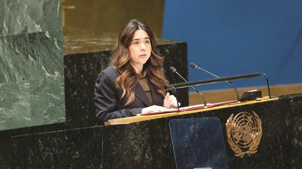 الإمارات: الوضع في فلسطين يعكس إساءة استخدام حق النقض