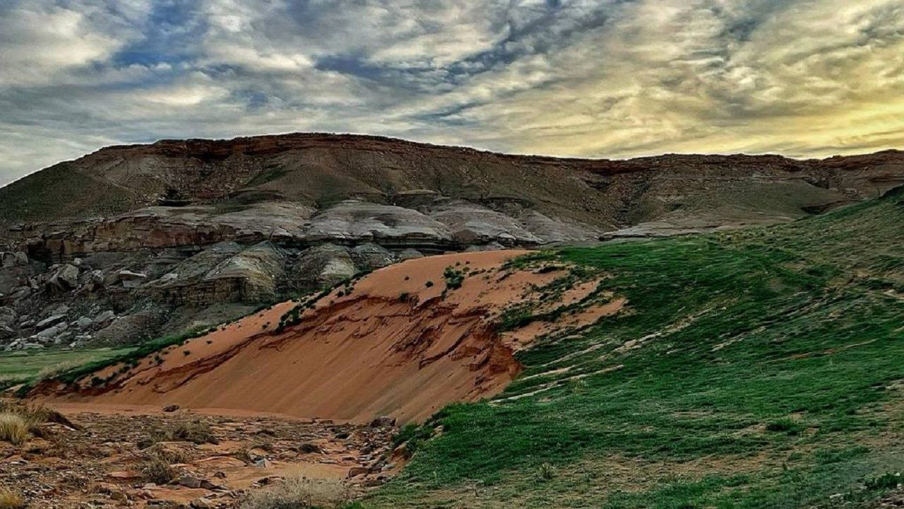 الخنفة..20 ألف كلم مربع من تنوع الحياة الفطرية في محمية الملك سلمان الملكية