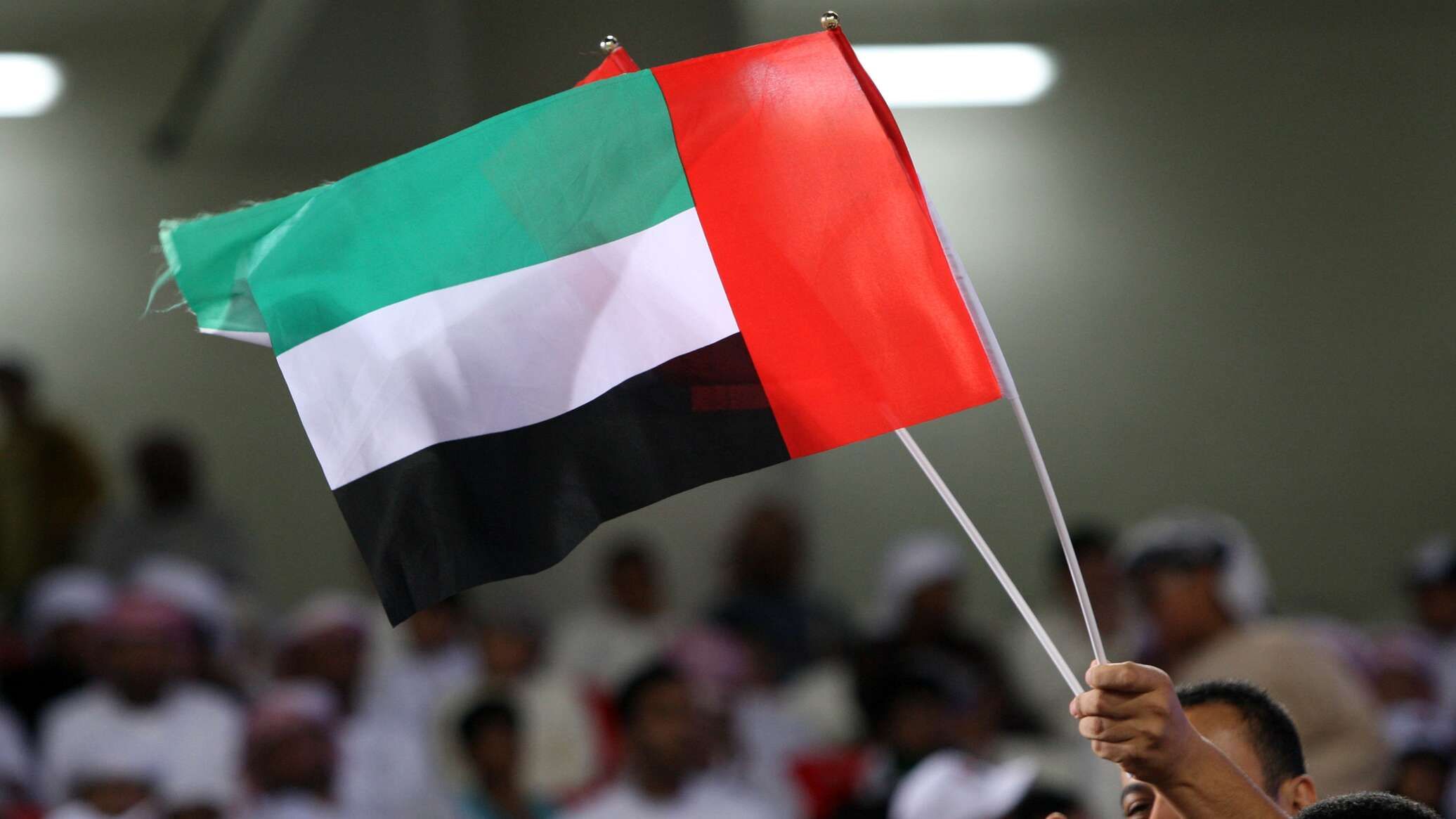 الإمارات: قلقون بشدة من الاعتداءات على الملاحة في باب المندب والبحر الأحمر