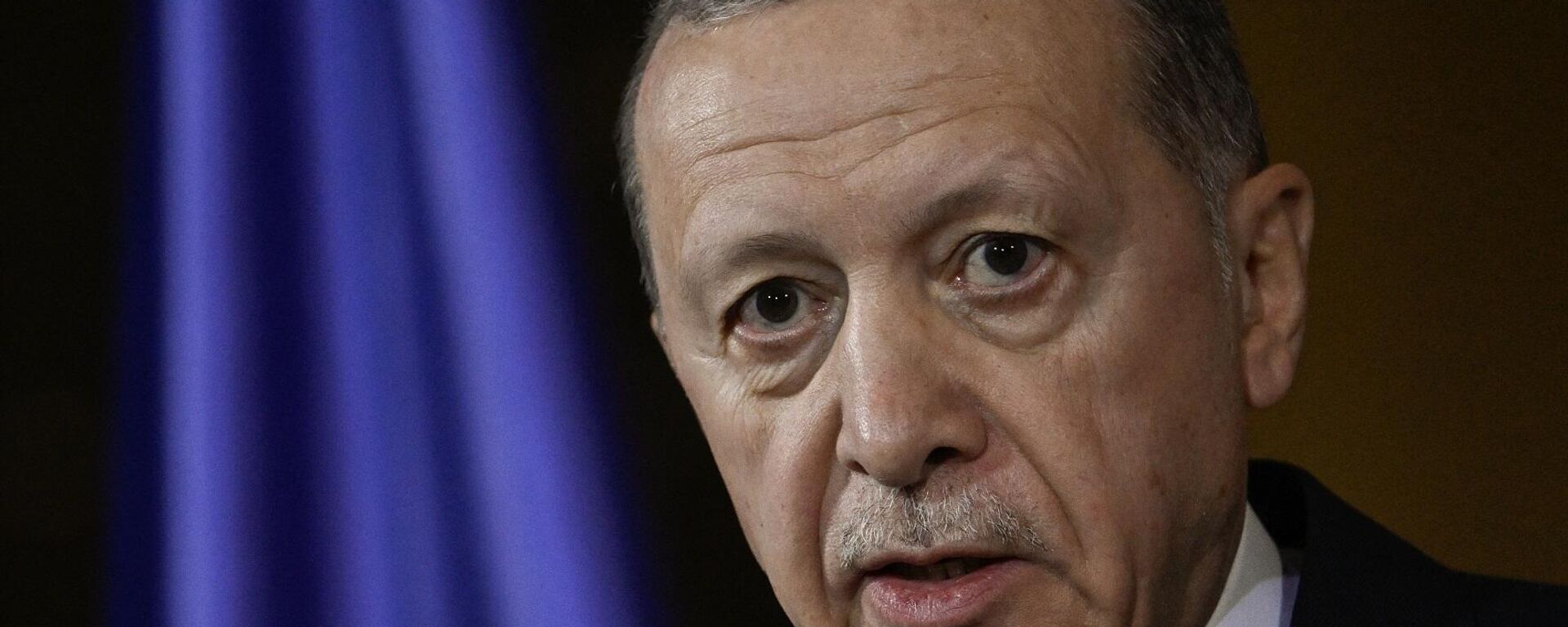 الرئيس التركي، رجب طيب أردوغان الرئيس التركي، رجب طيب أردوغان - الخليج 365 عربي, 1920, 12.01.2024