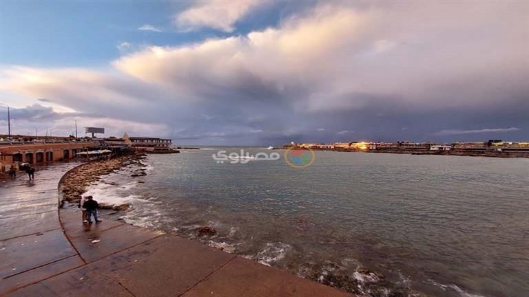 رغم شدتها.. الأمطار تزين شوارع الإسكندرية في نوة الفيضة الكبرى (فيديو وصور)