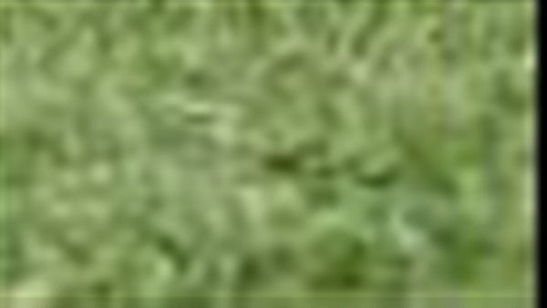 ثنائي المنتخب الأولمبي يغيب عن تدريبات الزمالك