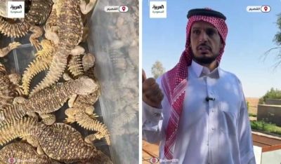 تراند اليوم : بالفيديو.. مواطن يروي قصة تحويله مزرعته الخاصة في ‎القصيم إلى "محمية ضبان".. ويكشف حجم الإنتاج السنوي