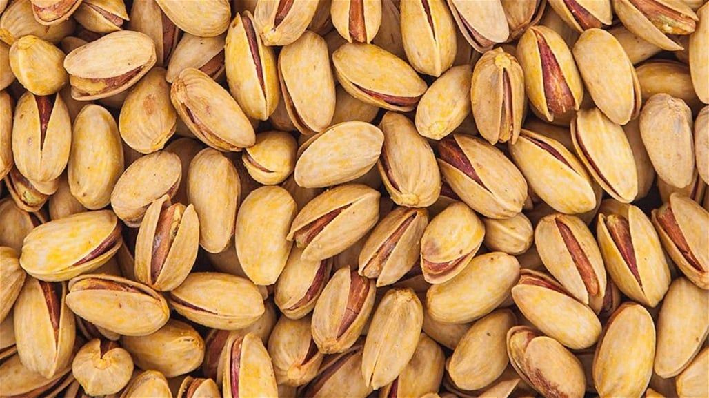 خلال 2023.. العراق استورد "فستق" من تركيا بأكثر من 12 مليون دولار