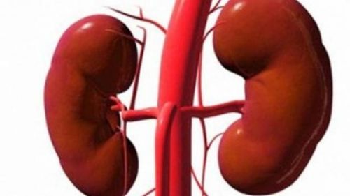 مشروبات ضرورية لغسل الكلى وتنظيف الكبد.. عليك تناولها يومياً