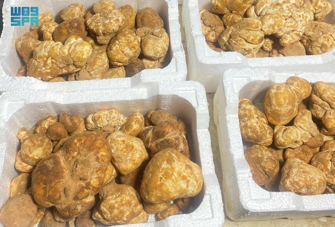 “سوق الفقع” أسعار متفاوتة وإقبال مبكر في طريف