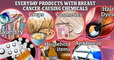مش بس المبيدات الحشرية.. علماء يحددون 1000 مادة كيميائية تسبب سرطان الثدى