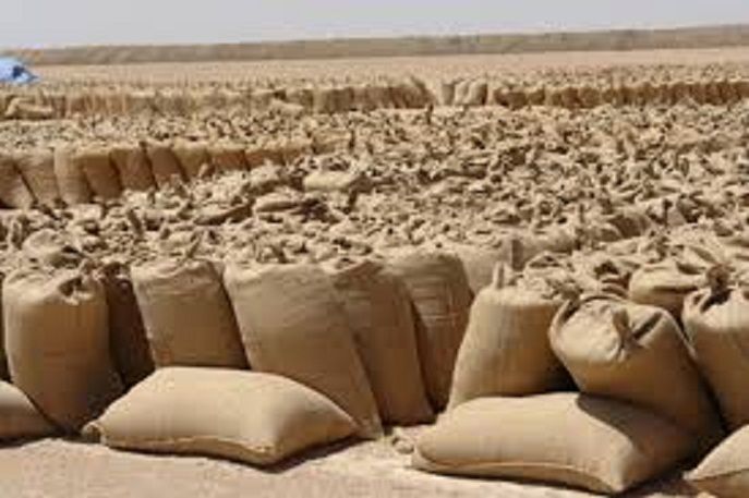 ماذا يحدث لجسمك عند تناول دقيق الذرة؟