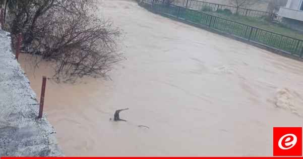 سيول في البقاع الشمالي ونفوق عدد كبير من السمك