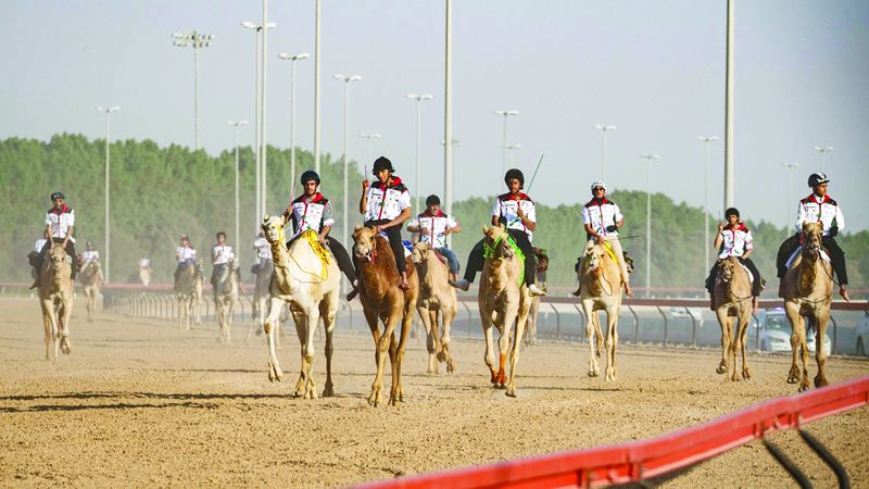 الامارات | ماراثون اليوم الوطني للهجن تحسمه الأمتار الأخيرة