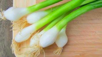 فوائد تناول البصل الأخضر في وجبة الإفطار: دعم صحة القلب والعظام وتعزيز المناعة!