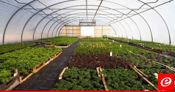 "نقابة مزارعي البيوت البلاستيكية": للكشف على الاضرار جراء الفياضانات والتعويض السريع على مزارعي عكار