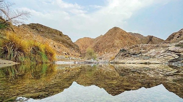 الإمارات.. قصة أرض وتاريخ