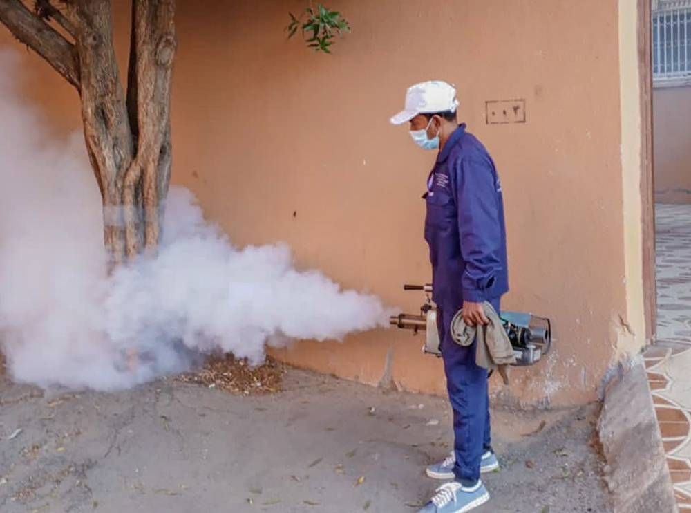 تنفيذ أعمال المكافحة الحشرية في 120 موقعًا  بالطائف
