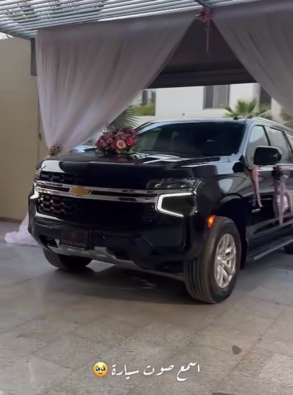 شاهد المهرة البحرينية تتلقى هدية فخمة خلال تواجدها في الرياض