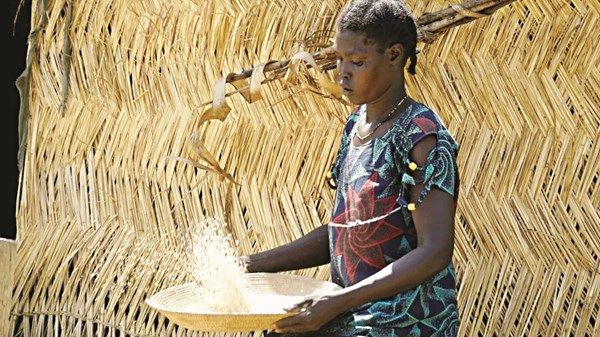 مخاوف من «مستويات كارثية» لأزمة الجوع في أفريقيا