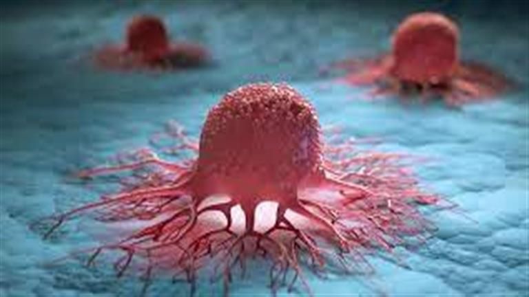 بـ10 جنيهات فقط.. أكلة سهلة وسريعة تحمي من السرطان ومرض السكري