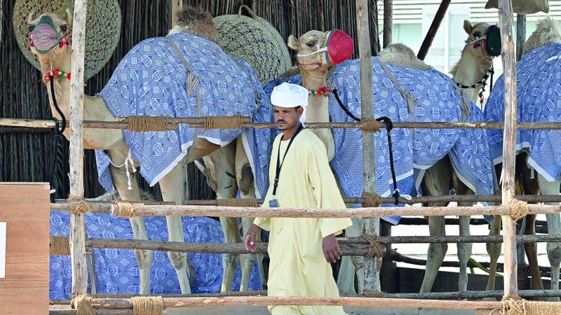 الامارات | «مهرجان الحصن».. الماضي والحاضر في قلب أبوظبي