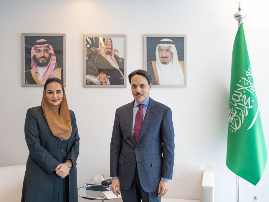 وزير الخارجية يناقش بناء القدرات المعلوماتية والرقمية مع أمين منظمة التعاون الرقمي