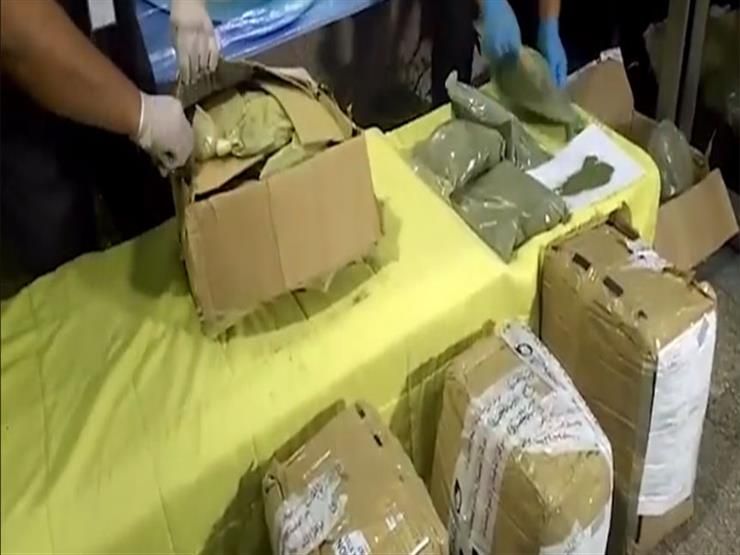 الداخلية تضبط 7 أجانب حاولوا تهريب "القات"