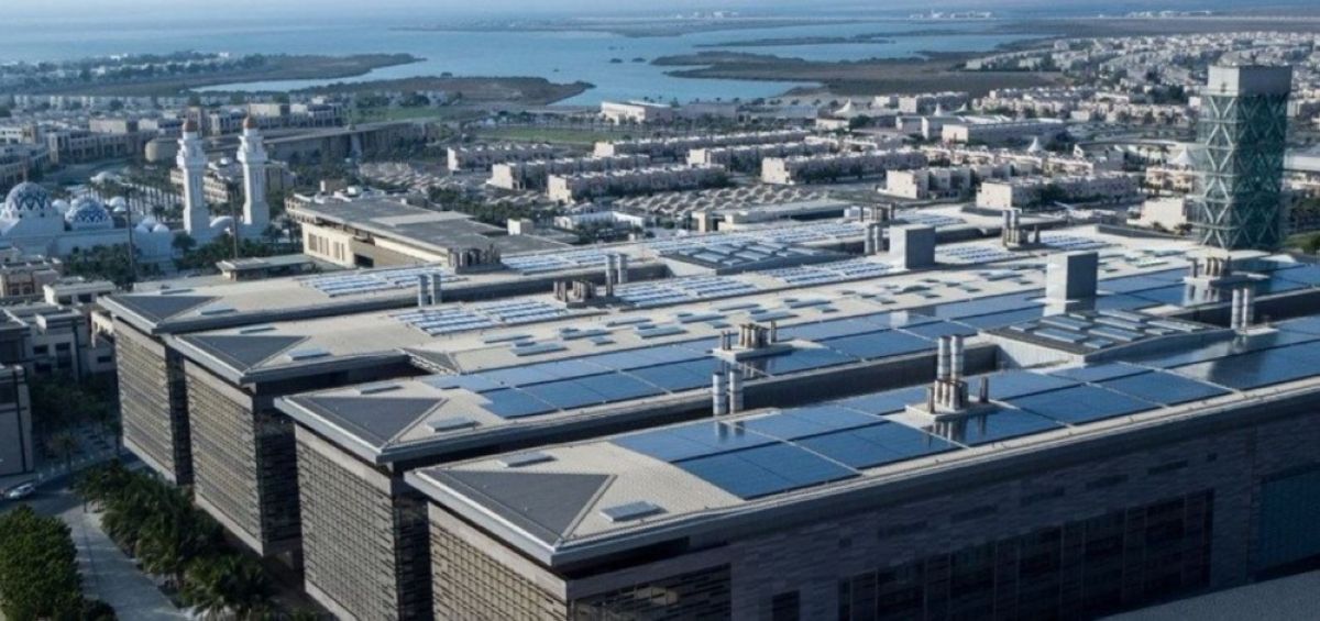 كاوست تطور نموذجا لخلايا شمسية منخفضة التكلفة