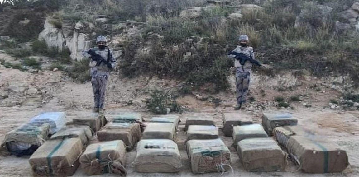 جازان.. إحباط تهريب 370 كلجم من نبات القات المخدر