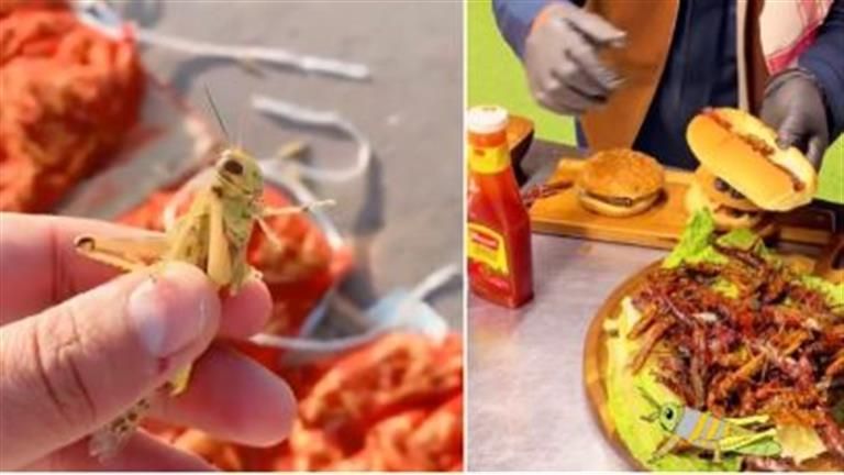 برجر "الجراد" بالسعودية يثير جدل السوشيال ميديا- إليك أسعاره