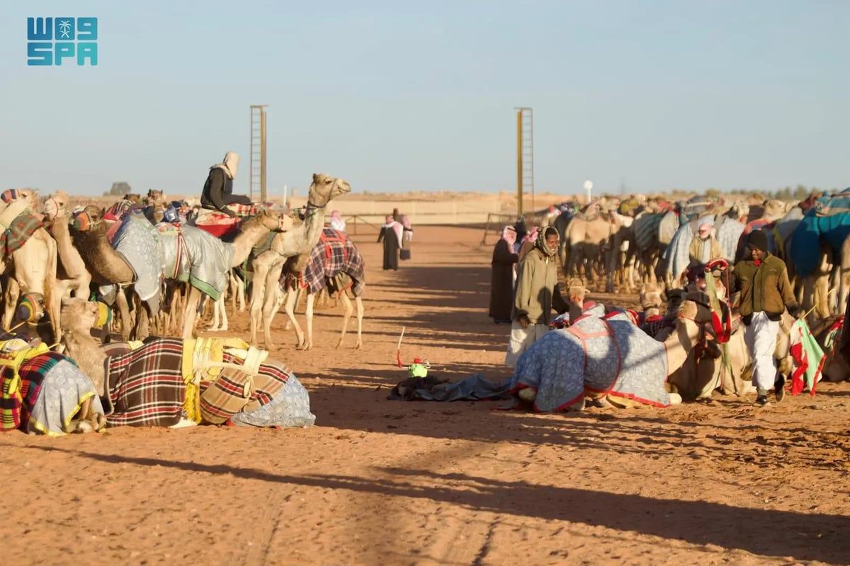 16 فائزًا في رابع سباقات الموسم بميدان الهجن بسكاكا